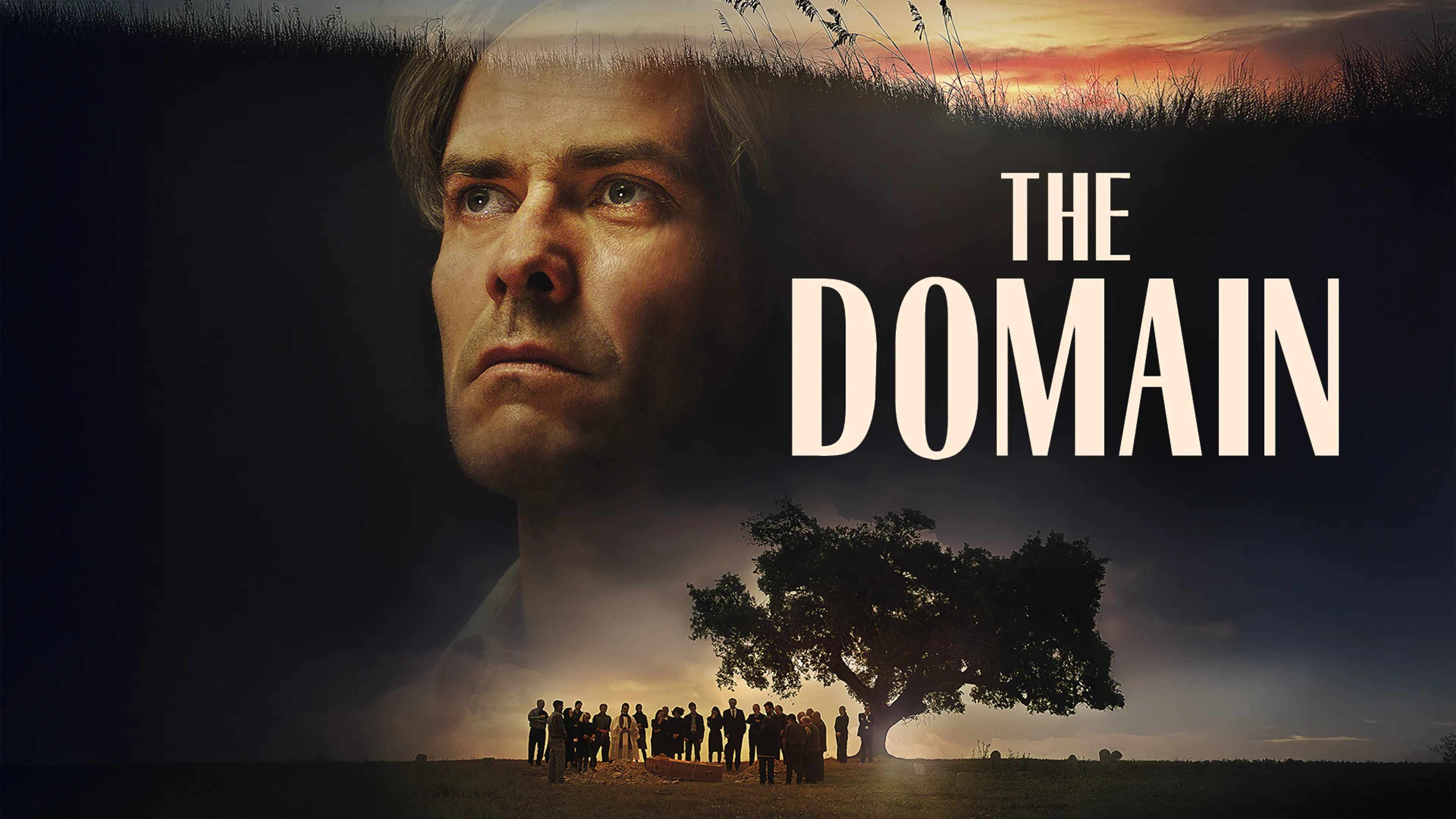 The Domain poster